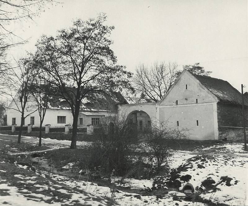 Náhled