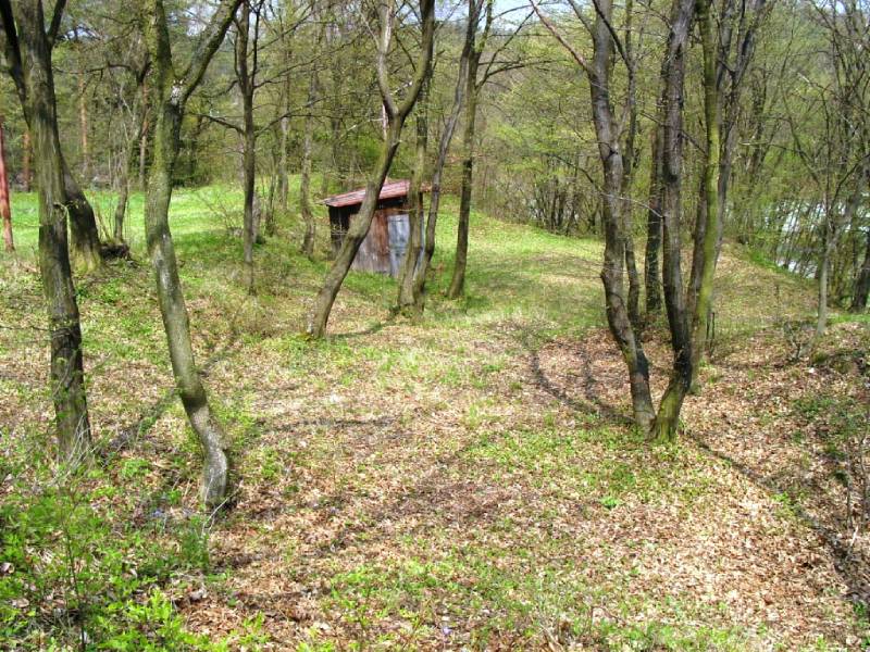 Náhled