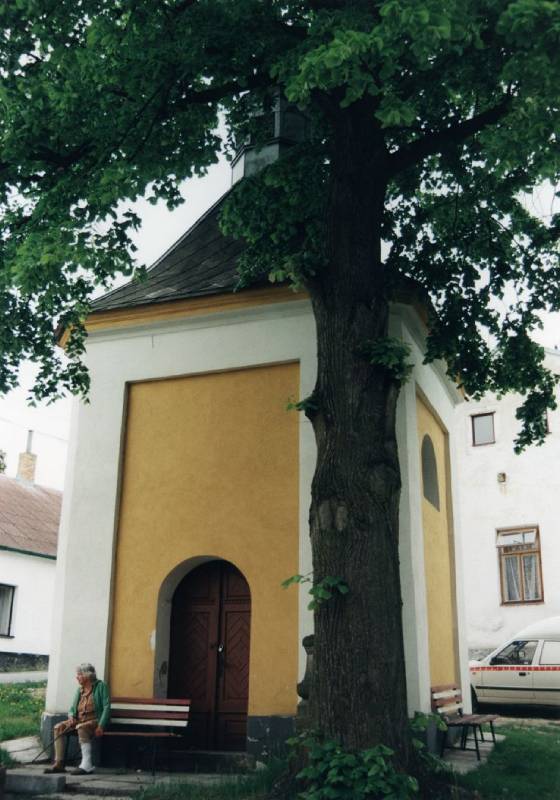 Náhled