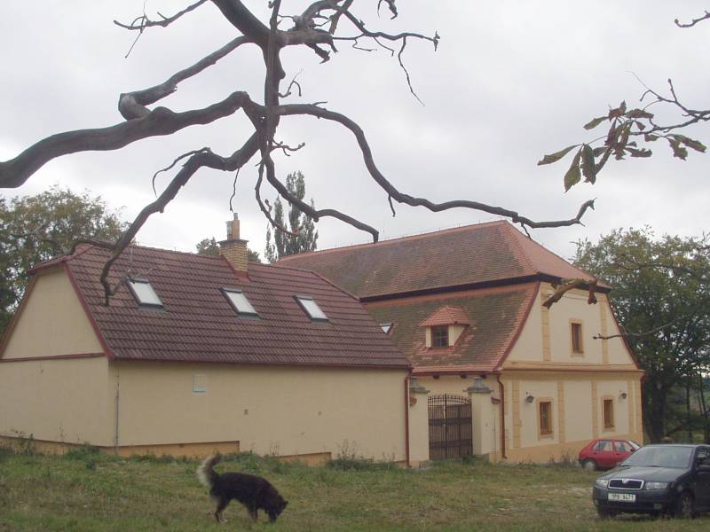 Náhled