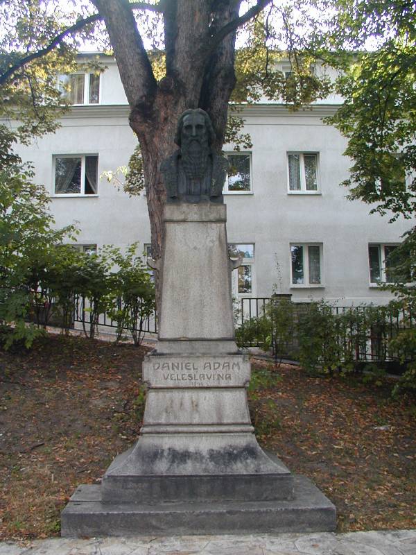 Náhled
