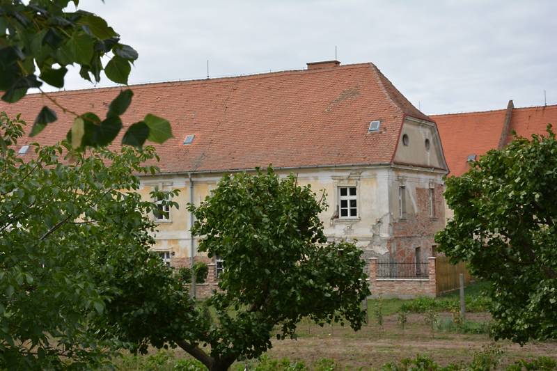 Náhled