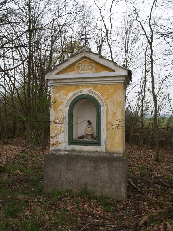 Náhled