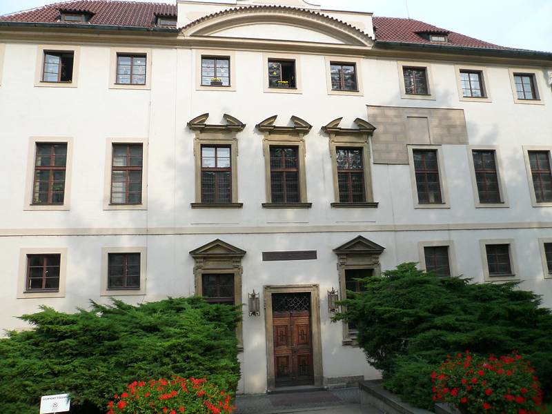 Náhled