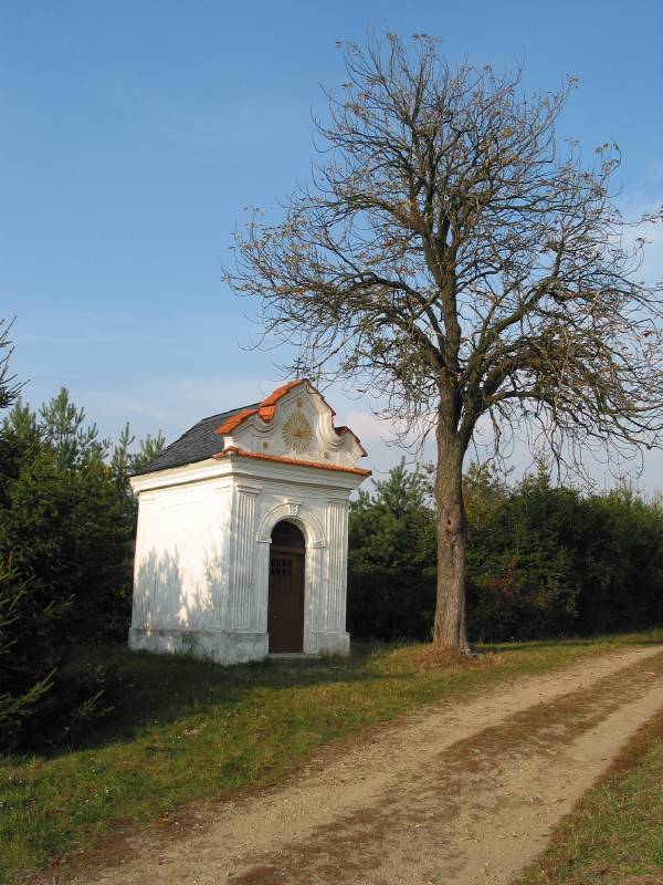 Náhled
