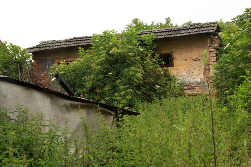 Náhled