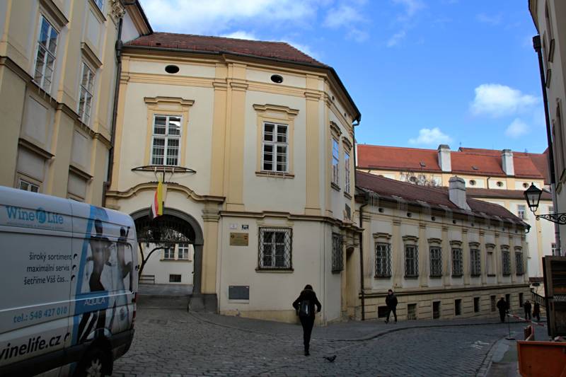 Náhled