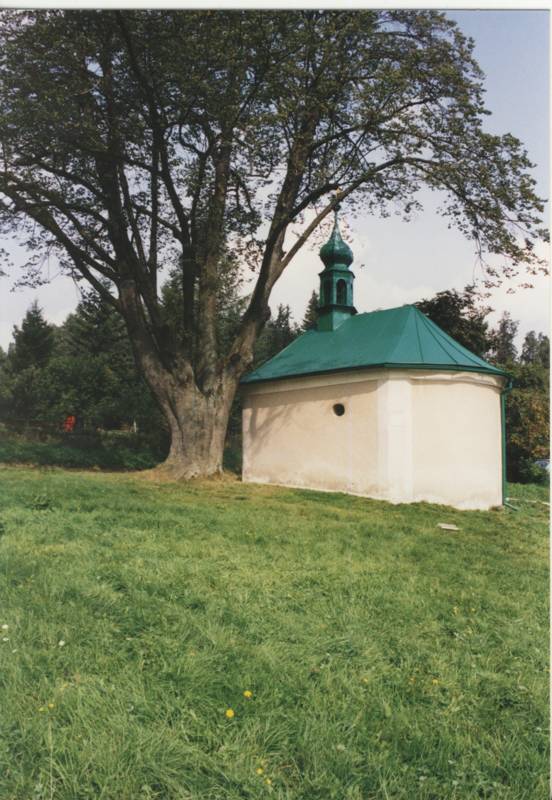 Náhled