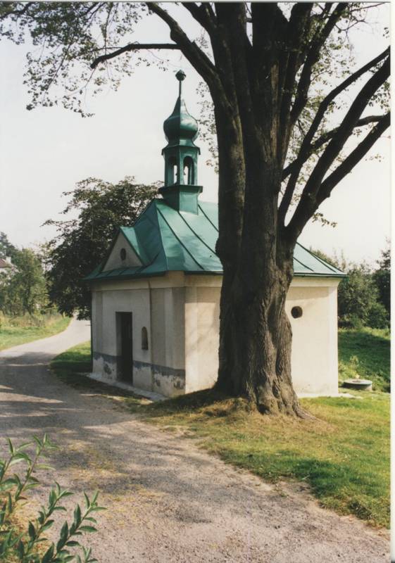 Náhled