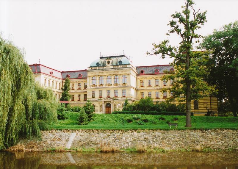 Náhled