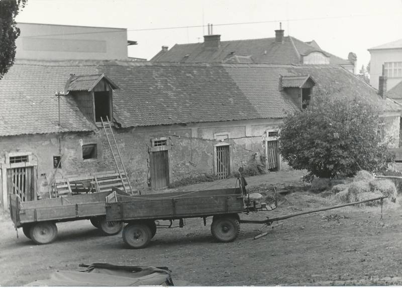 Náhled
