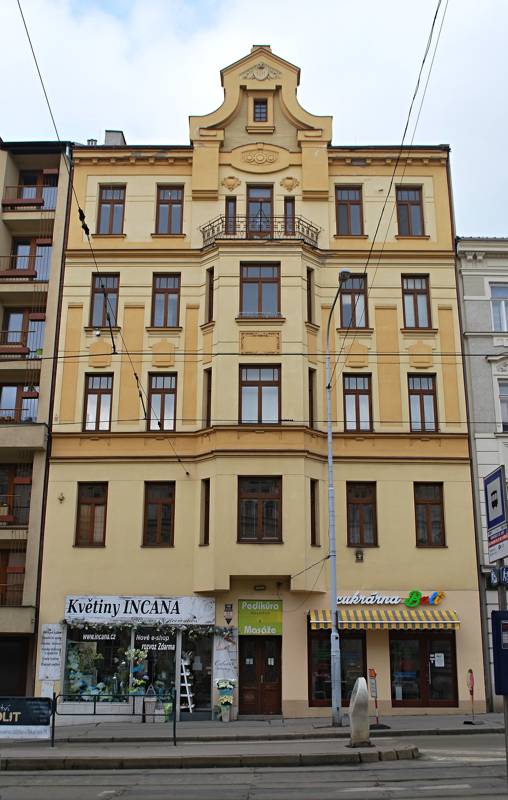 Náhled
