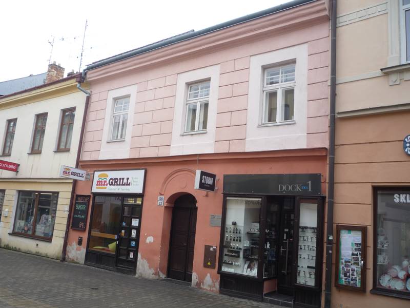 Náhled