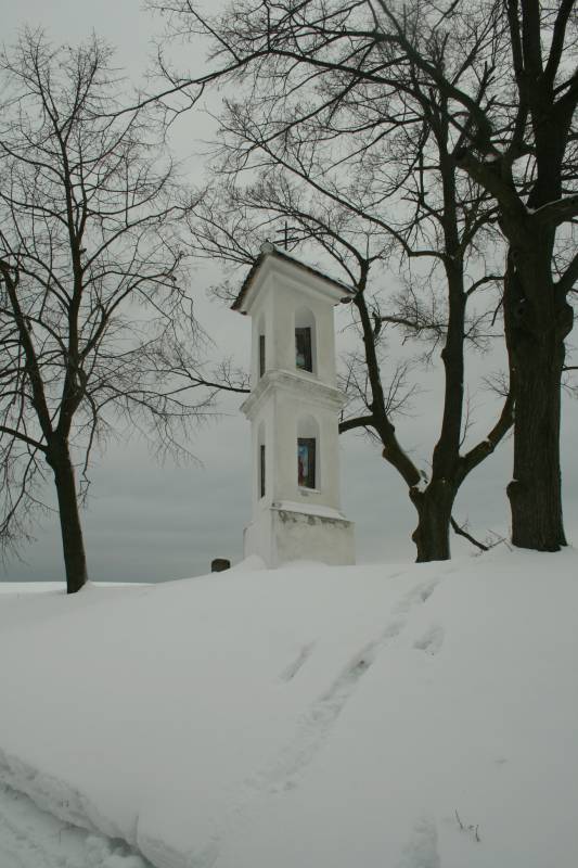 Náhled