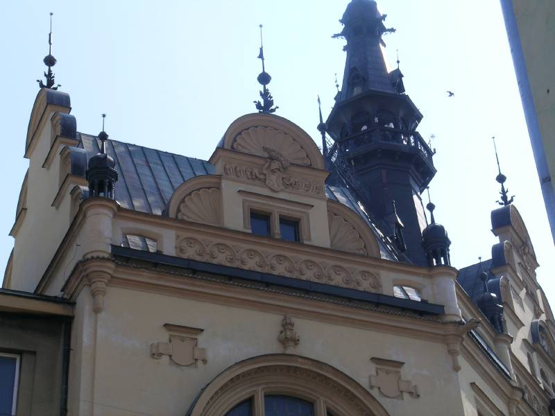 Náhled