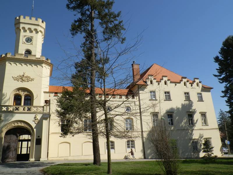 Náhled