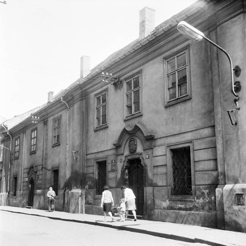 Náhled