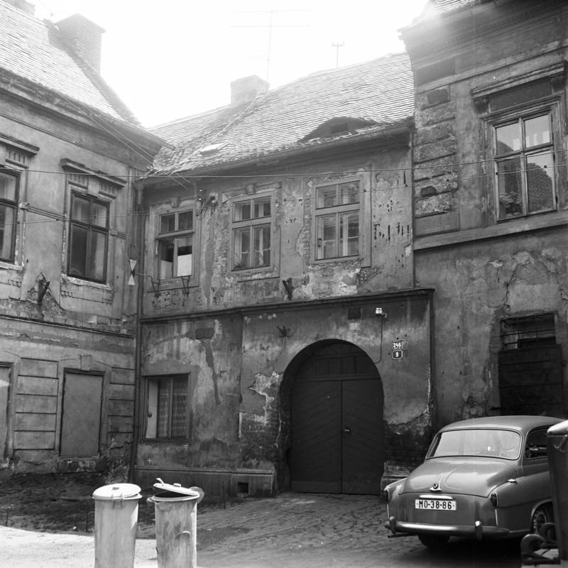 Náhled