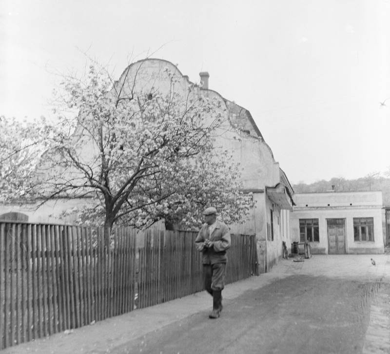 Náhled