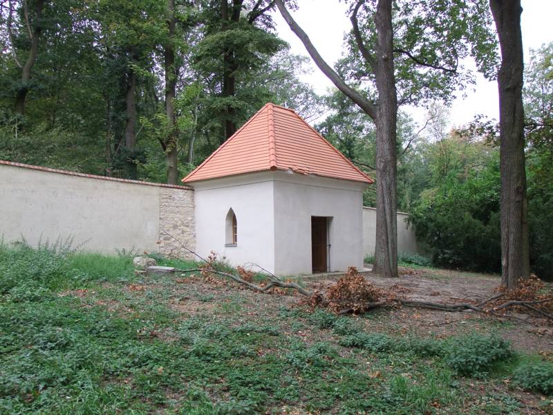 Náhled