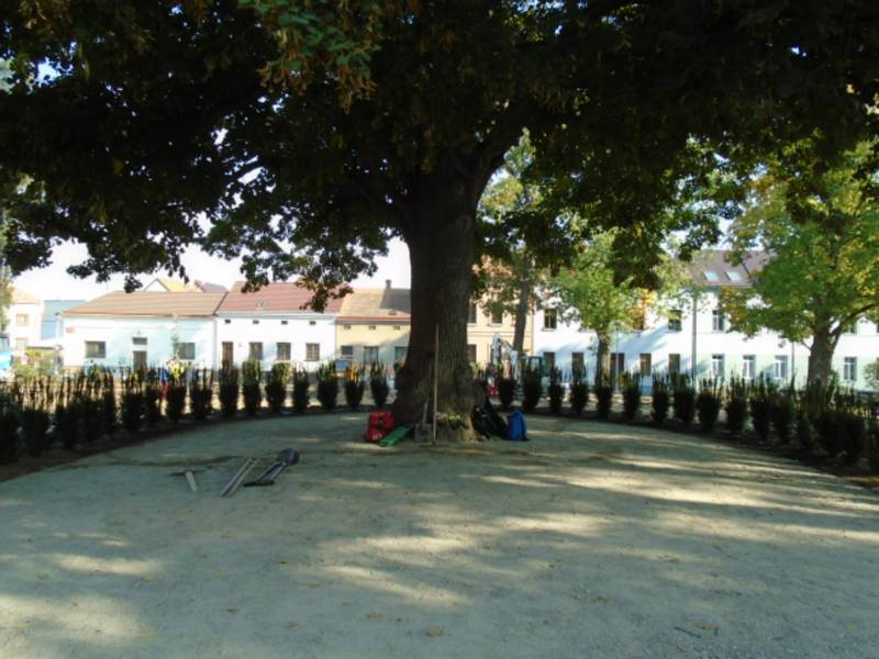 Náhled