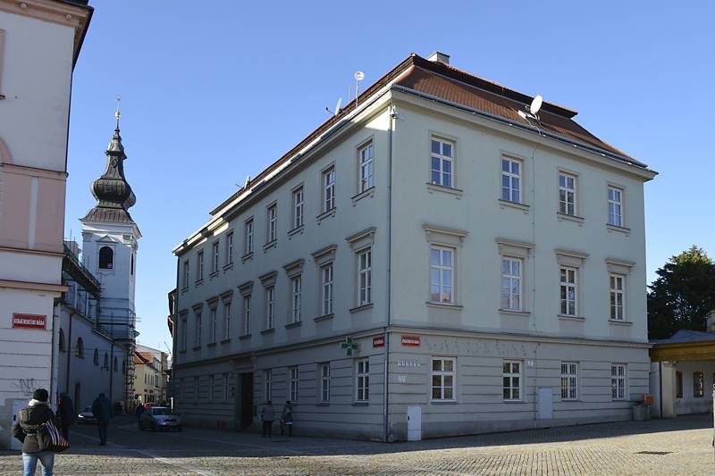 Náhled