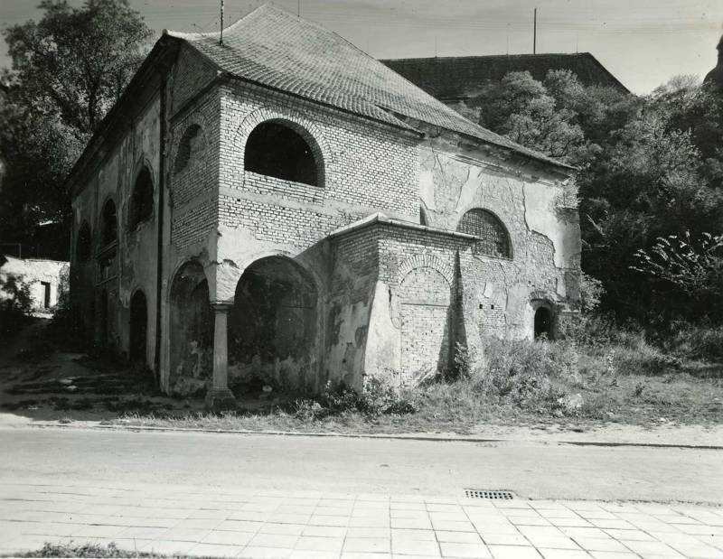 Náhled