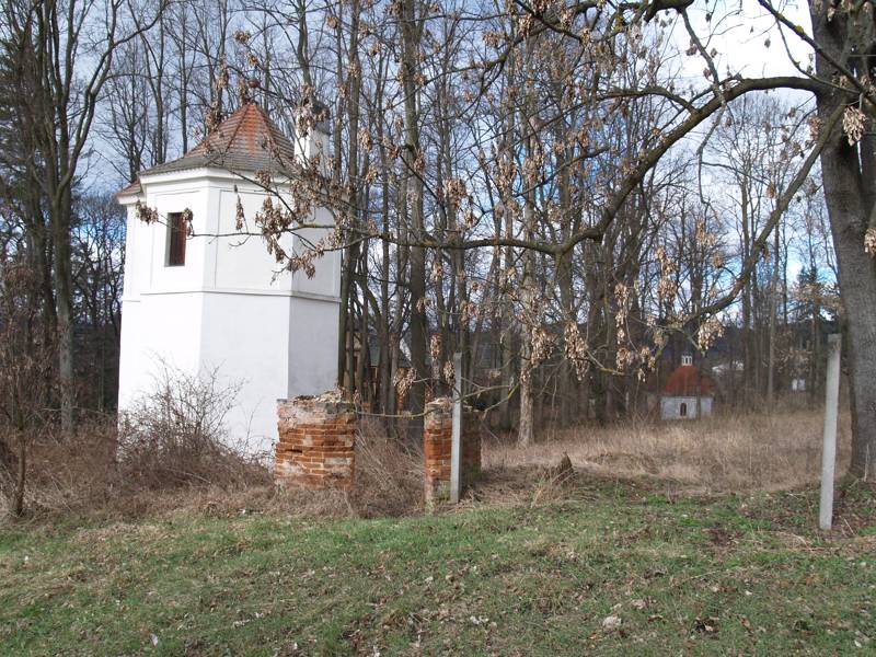 Náhled