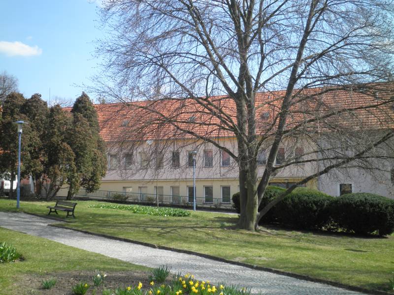 Náhled