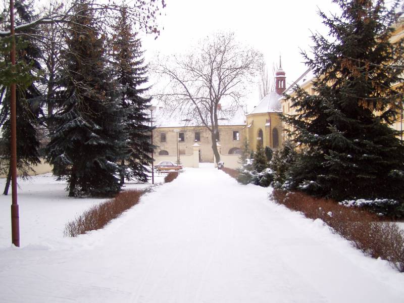 Náhled