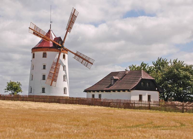 Náhled