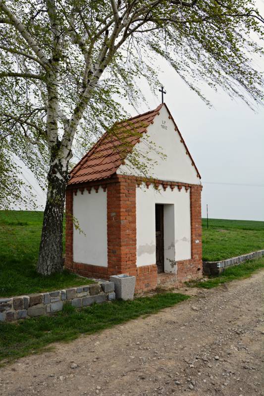 Náhled