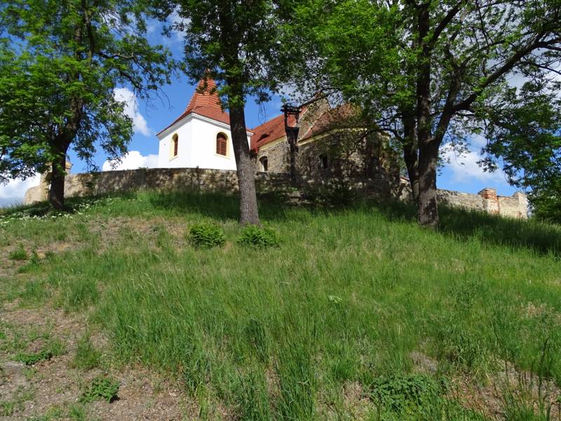 Náhled