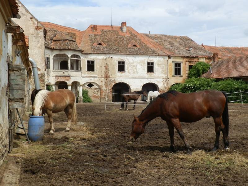 Náhled