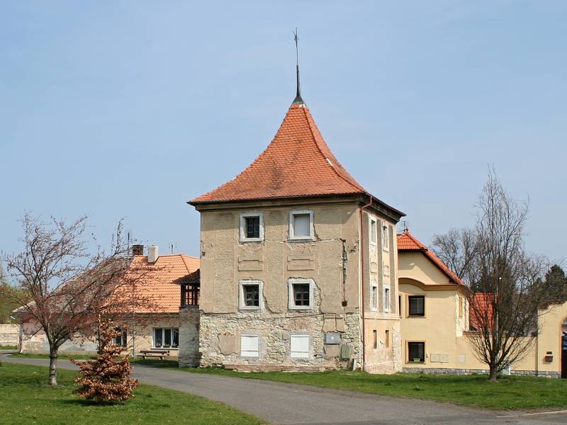 Náhled