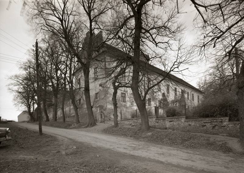 Náhled