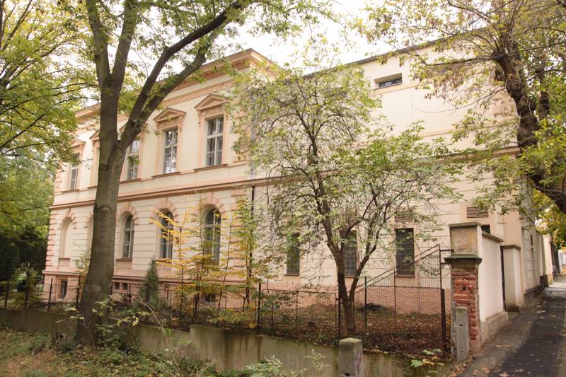 Náhled