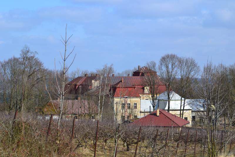 Náhled