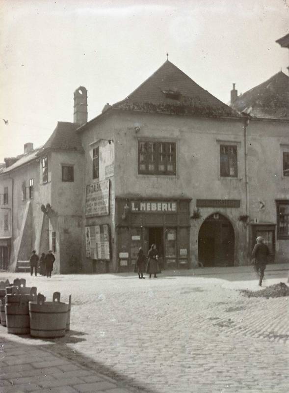 Náhled