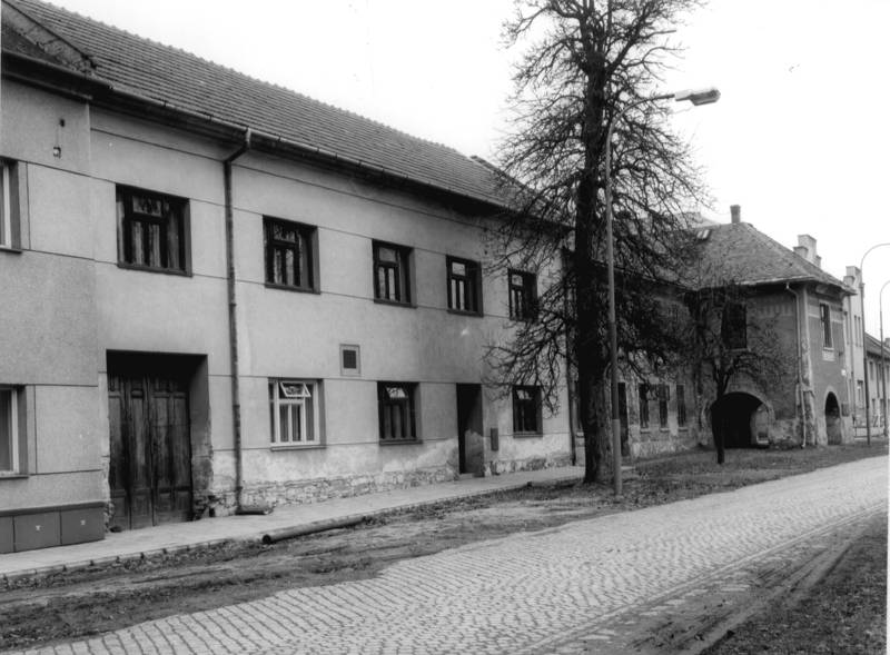 Náhled