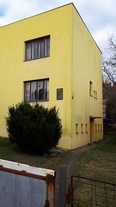 Náhled
