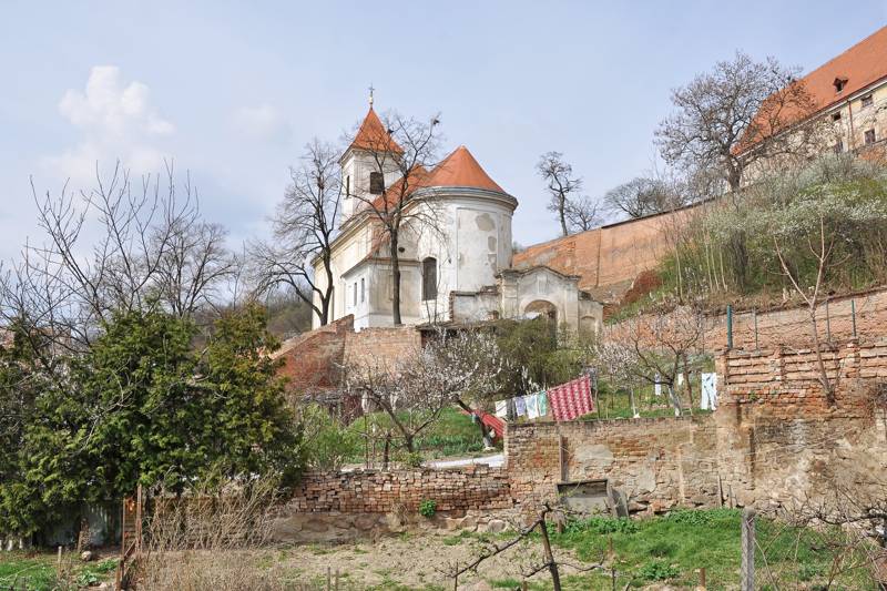 Náhled