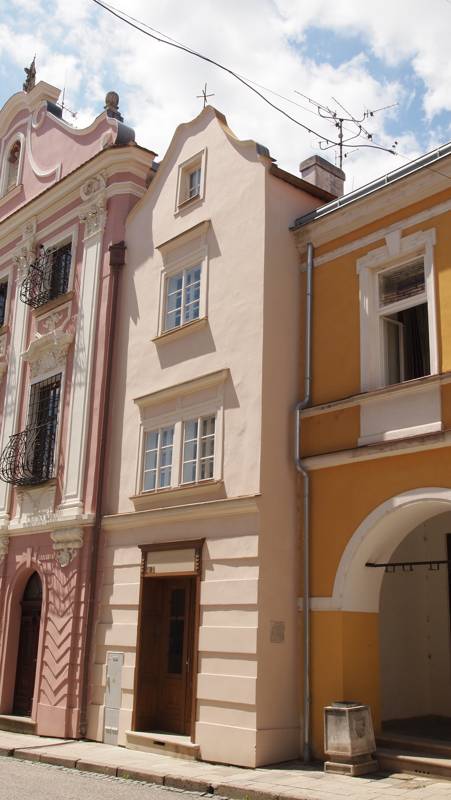 Náhled