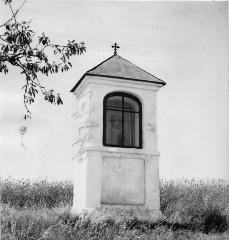 Náhled