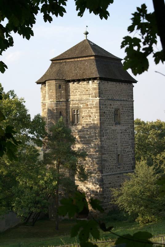 Náhled