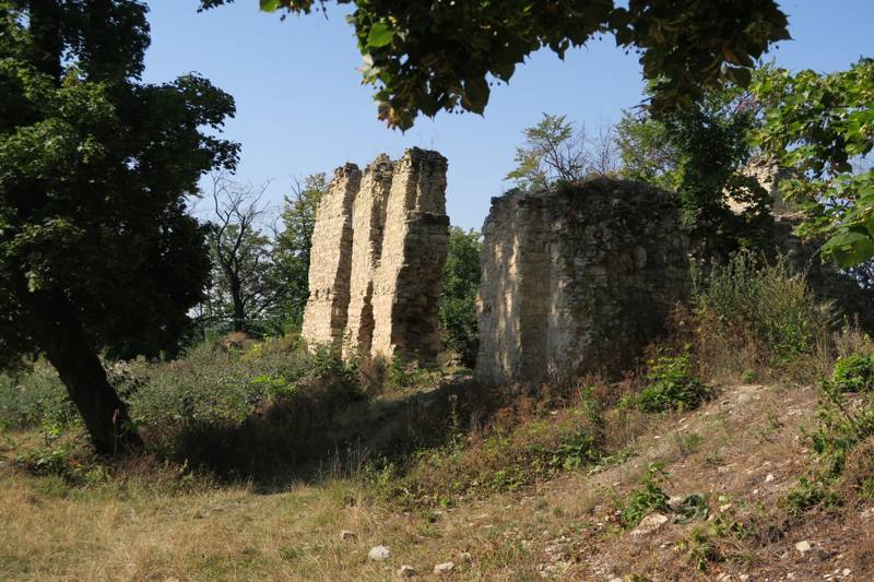 Náhled