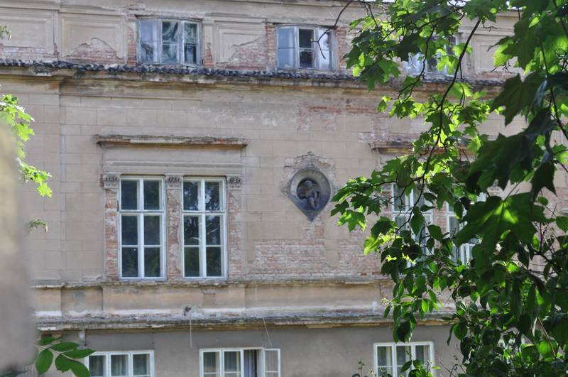 Náhled