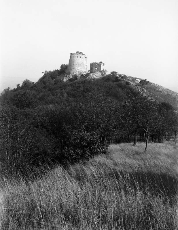 Náhled