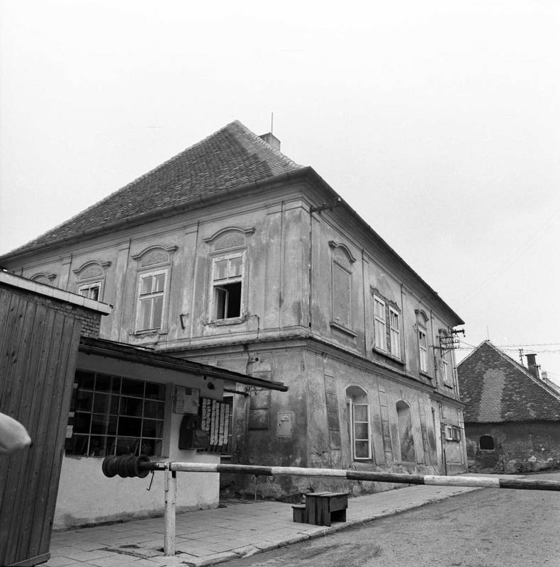 Náhled