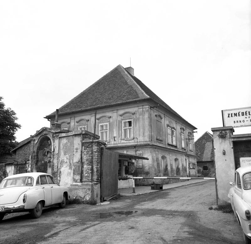 Náhled